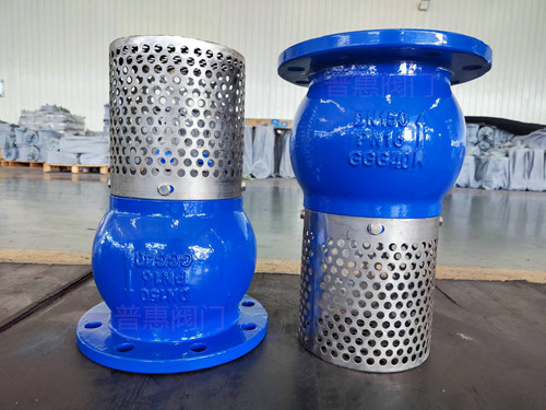 帶過濾器底閥 帶過濾器底閥