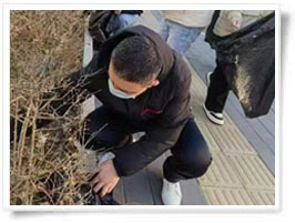 凈美中國在行動(dòng)真干