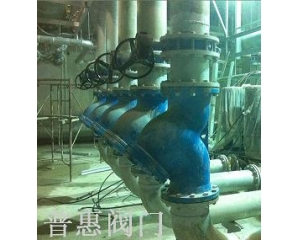 大口徑球墨鑄鐵Y型過濾器安裝實例 大口徑球墨鑄鐵Y型過濾器安裝實例