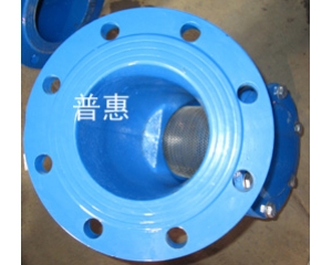 Y型過濾器出水口俯視濾網