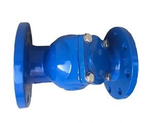 Y型球墨鑄鐵過濾器側面 Y型球墨鑄鐵過濾器側面